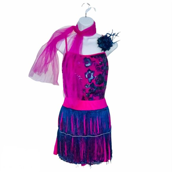 Dansco 19191A Dance Womens Plus 2XL Pink Leotard Skirt Clip Scarf 4 pcs - Picture 1 of 12
